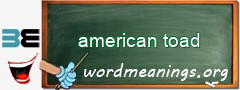 WordMeaning blackboard for american toad